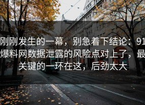 刚刚发生的一幕，别急着下结论：91爆料网数据泄露的风险点对上了，最关键的一环在这，后劲太大
